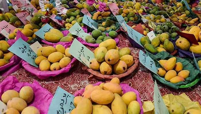 میرپورخاص مینگو فیسٹیول میں لوگ اسٹالز پر رکھے آموں پر ٹوٹ پڑے